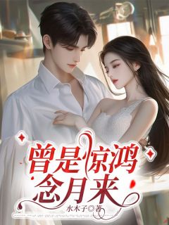 曾是惊鸿念月来(苏念段清野)全文章节在线阅读