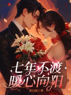 香归砚写的小说七年不渡，暖心向阳秦铮暖暖全文阅读