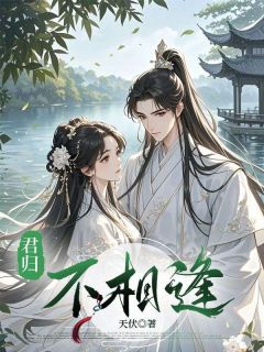 天伏的小说君归不相逢主角是茹娘莫臣钰