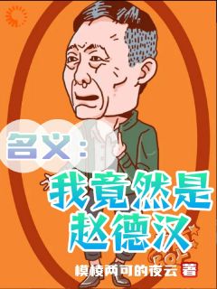 名义：我竟然是赵德汉小说(完结)-赵德汉侯亮平章节阅读