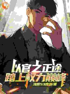 以官之正途，踏上权力巅峰江忠清李仁堂小说_以官之正途，踏上权力巅峰完结版阅读-二筒文学网