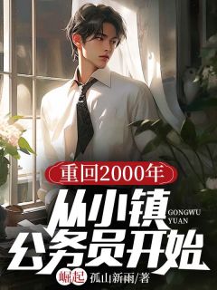 老书虫书荒推荐重回2000年：从小镇公务员开始崛起txt小说阅读