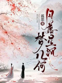 （好书推荐）月落星沉梦几何小说最新章节小说全文阅读