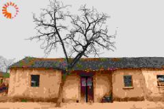 陆大义陆小雨小说<四合院之意外来客>全文在线阅读