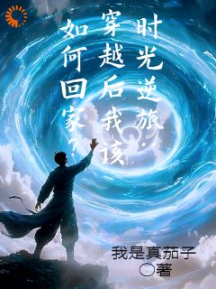 高质量小说时光逆旅：穿越后我该如何回家？在线试读