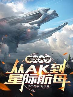 爆款小说由作者小小马甲1号所创作的军火大亨：从ak到星际航母在线阅读