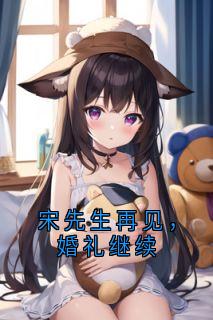 老书虫力荐宋先生再见，婚礼继续免费无弹窗阅读