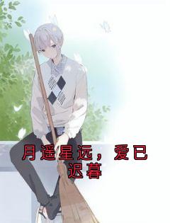 岑瑶陆西远月遥星远，爱已迟暮小说完整版