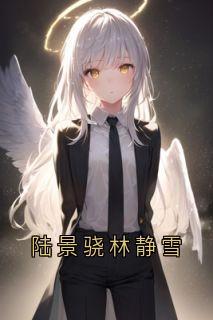 陆景骁林静雪[抖音]小说-陆景骁林静雪无删减阅读