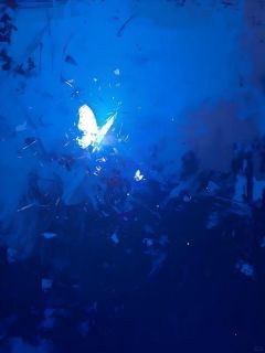 [抖音]小说贺筱芸顾凌妻子扒了我的救生衣给初恋，我死后她后悔了-二筒文学网