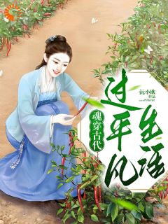 魂穿古代，过平凡生活小说徐岁沈衑最新章节阅读-二筒文学网