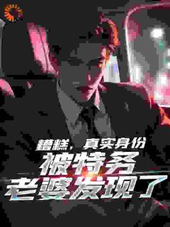 面具被击落，夫君你竟是谍战之王(林夏李燕)最新章节-二筒文学网