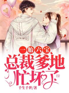 一胎六宝：总裁爹地忙坏了小说百度云完整章节列表免费阅读-二筒文学网