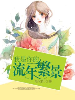 你是我的流年繁景小说免费版阅读抖音热文-二筒文学网