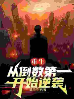 沈从之韩美凤随情浪子小说全章节最新阅读