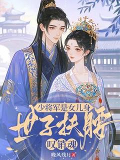 书荒推荐少将军是女儿身，世子扶腰叹销魂(叶锦苏谢渊)在线试读