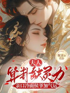 夫人算卦缺灵力，亲口冷面侯爷加气运南玖鸢沈云起全章节在线阅读