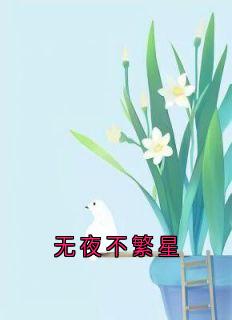 无夜不繁星(全章节)-顾凌旭苏禾岁在线阅读-二筒文学网