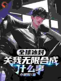 无弹窗小说全球冰封，关我无限合成什么事 作者小破贼-二筒文学网
