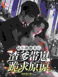 抖音爆款陆小姐独美后，渣爹带崽跪求原谅完整小说（全文阅读）