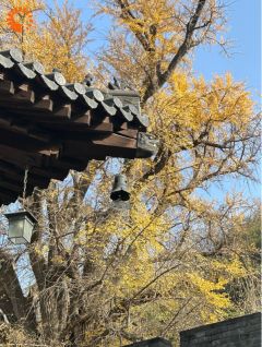 王敏姜武全文阅读最新 王敏姜武小说目录