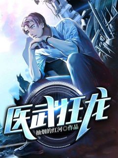 医武狂龙主角是龙飞安慧小说百度云全文完整版阅读