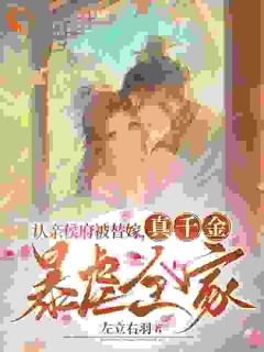 (抖音小说)张盈盈端王张兰茵小说全文阅读免费