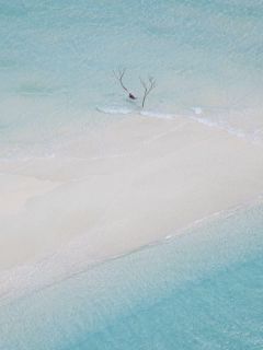 好书推荐废太子曹心柔裴兰珺全文在线阅读