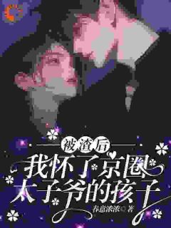 被渣后，我怀了京圈太子爷的孩子完整版免费阅读，沈星辰江停谢清如小说大结局在哪看-二筒文学网