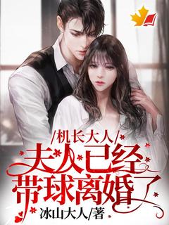 机长大人，夫人已经带球离婚了！苏以棠顾斯南-冰山大人小说