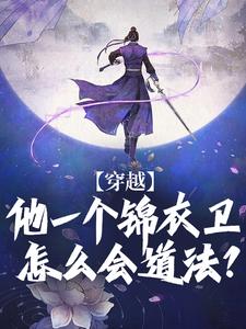 抖音完结综武之锦衣卫小旗丁伟张真人(全文在线阅读)