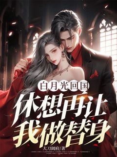 抖音安然楚凌枫小说叫什么名字