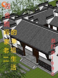 百度贴吧小说四合院阎家老二的幸福生活，主角周云飞阎解义全文免费