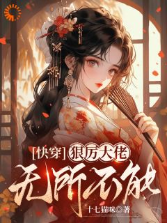 抖音快穿，狠厉大佬无所不能小说章节阅读-二筒文学网