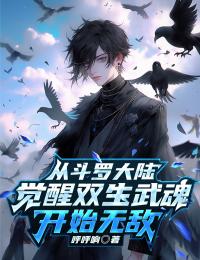 从斗罗大陆觉醒双生武魂开始无敌林霄唐三免费阅读-从斗罗大陆觉醒双生武魂开始无敌呼呼响小说-二筒文学网