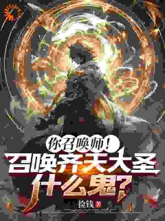 (精品)你召唤师！召唤齐天大圣什么鬼？小说