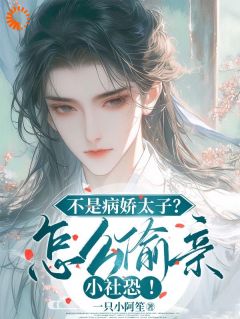 主角苏锦沅晏昭小说完整版-不是病娇太子？怎么偷亲小社恐！免费阅读全文