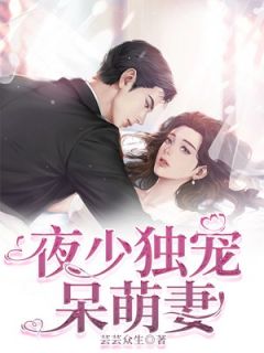 主角安小暖夜溟爵小说爆款夜少独宠呆萌妻完整版小说