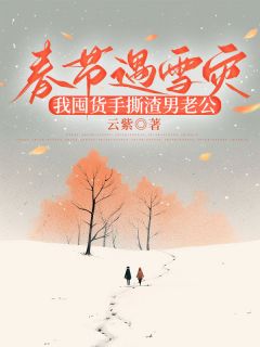 春节遇雪灾，我囤货手撕渣男老公(嘉静志诚)全文章节在线阅读