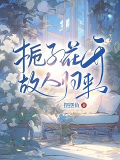 栀子花开，故人归来小说最新章节-主角穆云舟洛溪全文免费阅读-二筒文学网