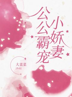 公公霸宠小娇妻免费小说作者大菜菜全文阅读-二筒文学网