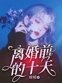 老书虫推荐离婚前的十天 在线阅读