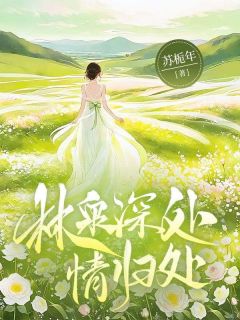 林泉深处情归处白绵傅景泽全章节完结版在线阅读