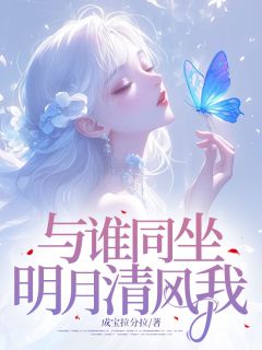 与谁同坐，明月清风我小说在线阅读，主角秦芊然陆元煦精彩段落最新篇-二筒文学网