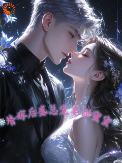 用户95122340的小说替嫁后，盛总宠妻甜蜜蜜主角是叶璟心盛陌晨