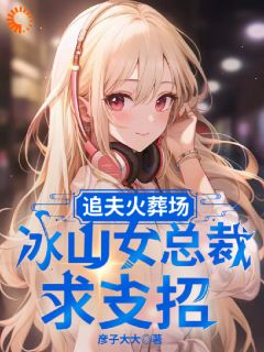 追夫火葬场，冰山女总裁求支招楚航苏若澜全章节完结版在线阅读