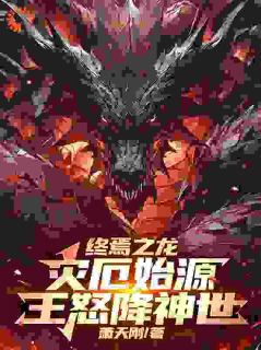 夜羽叶天终焉之龙：灾厄始源，王怒降神世小说完整版