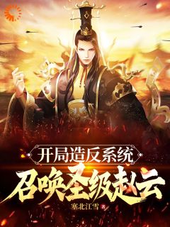 全章节小说开局造反系统，召唤圣级赵云塞北江雪最新阅读