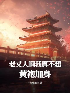 老丈人啊，我真不想黄袍加身！小说(完结)-苏湛宋北凝无删减阅读