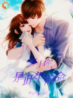 主角是叶芝婷宴鸿孝的小说-爱你，是此生宿命完整章节阅读